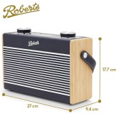 Roberts_Ramblermax_blue_dims