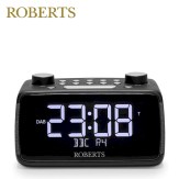 Roberts_ortus4b_main
